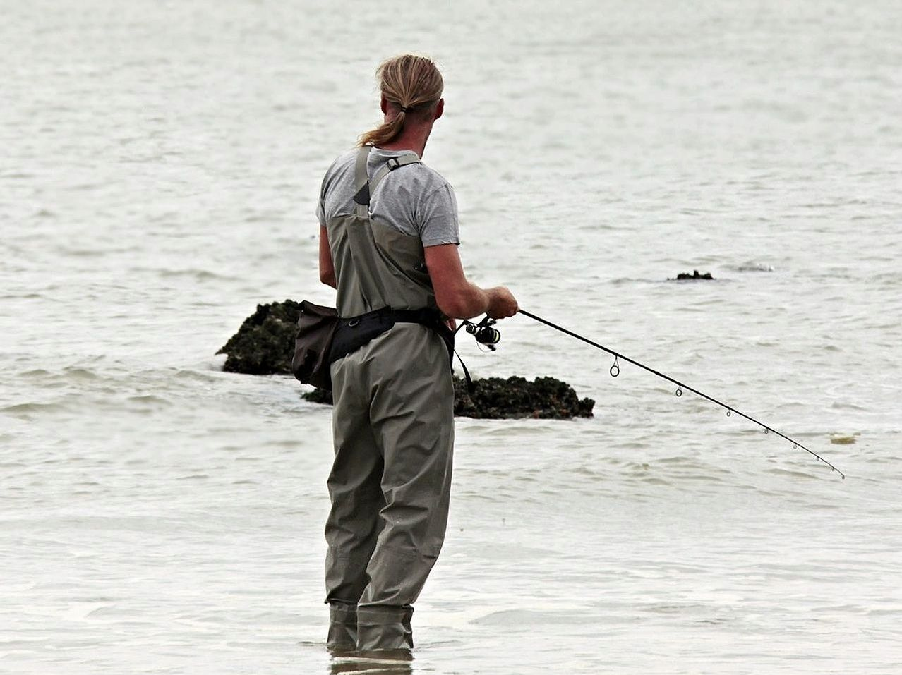 Caixa de isca com compartimentos para diferentes tipos de peixe